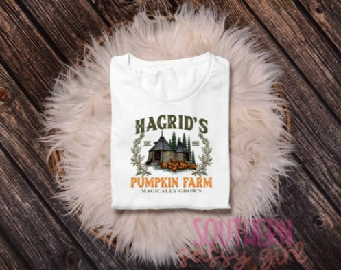 Hagrid’s Pumpkin Farm